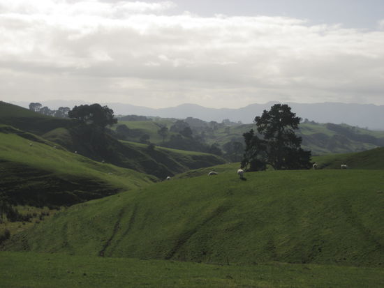 hinter diesem huegel stelle man sich nun also das haus von bilbo vor.