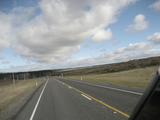 auch das gibt es in neuseeland - kilometerlange abholz- und wieder aufforstungsprojekte, wo unmengen von quadratkilometer voellig brach liegen. es sieht aus wie ein riesen baum-schlachtfeld udn zeigt auch mal ein bild, welches man in keinem reisefuehrer findet...