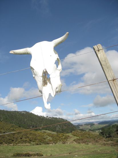 eindruecke vom wanderweg...