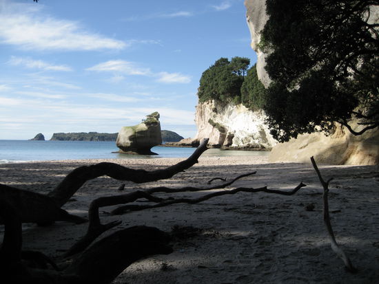 cathedral cove mit kristallklarem wasser