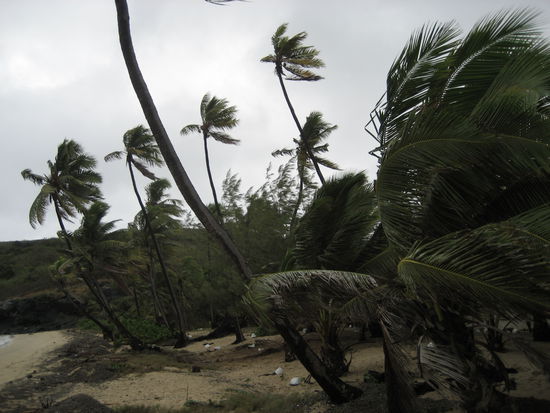 kein fiji wie wir es uns vorgestellt haben. aber ein fiji, wie es eben wirklich ist!