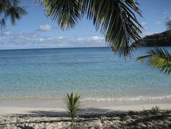 blick vom eingang unserer bure