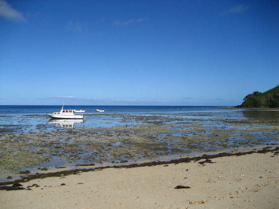 bei ebbe sah der strand dann nicht mehr so romantisch aus und es hatte sich ausgeschnorchelt.