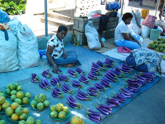 und es gab solche farbspiele wie mit diesen auberginen