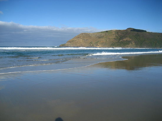 spaziergang zum allans beach, wo wir angeblich seeloewen finden koennten. haben wir nicht, dafuer einen wunderbaren strand ohne eine menschenseele
