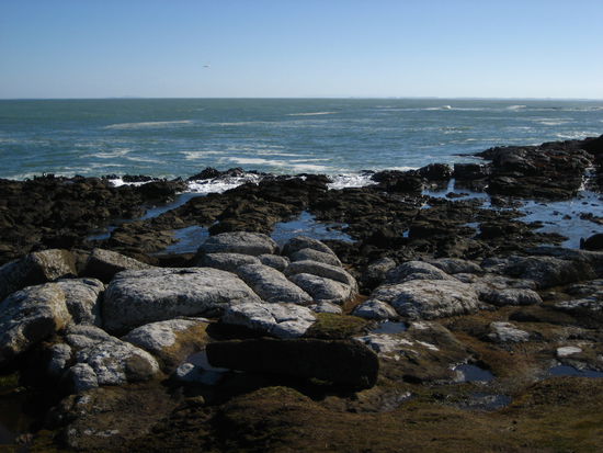 ach ja, das ist die "curio bay", wo angeblich ein versteinerter wald zu sehen sein soll, doch wir fanden das ganze nicht ganz so beeindruckend. die steiner hinten im bild sind wohl mal baeume gewesen - vielleicht haette man bei ebbe kommen sollen...?...