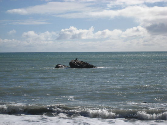 da macht autofahren spass, dazu strahlende sonne und gute musik auf allen radiosendern!