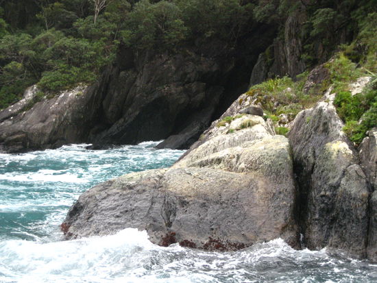 such die robbe  ha ha!