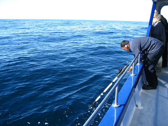 draussen wurde dann angehalten und mit diesem geraet nach den walen gehoert, die klickende geraeusche von sich geben.