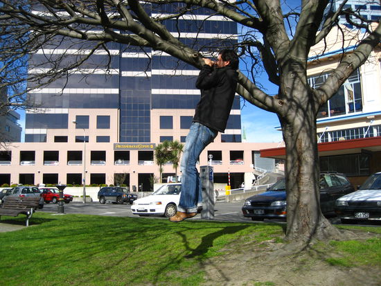 alles eignet sich fuer klimmzuege