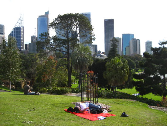 mitten in der stadt und doch in der natur