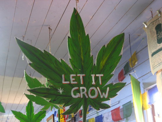 nimbin und sein motto in einem satz