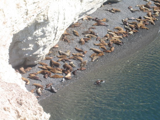 die waren definitiy noch fauler als wir!! wir haben in aller ruhe unser verdientes vesper ausgepackt und den faulenzern beim nichtstun zugeschaut.