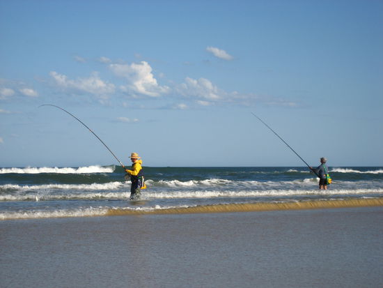 am strand stehen zahlreiche fischer knietief im wasser. obwohl hier angeblich das brutgebiet von tigerhaien ist. wir sahen allerdings keinen und das motto der fischer war ebenfalls "no worries", wie ueberall in australien vermutlich 