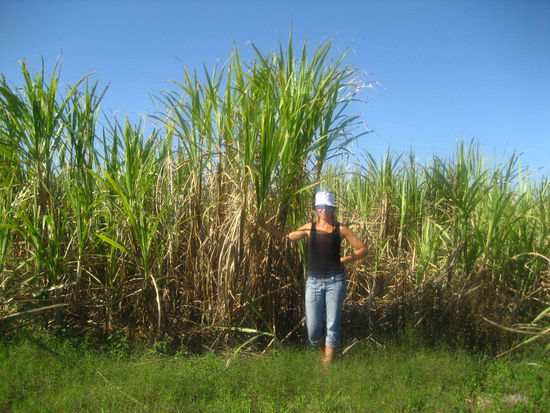 was vom auto so niedrig aussieht entpuppt sich dann soch als ganz schoen hoch