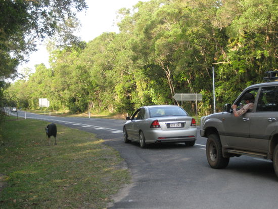 nachdem wir angehalten hatten stoppten immer mehr autos
