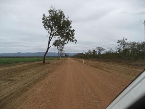 endlich mal auf roter erde fahren!
ach ja, irgendwo konnte man noch in die "wetlands" bei mareeba. da gab es nichts als voegel. -> langweilig -> weiter.