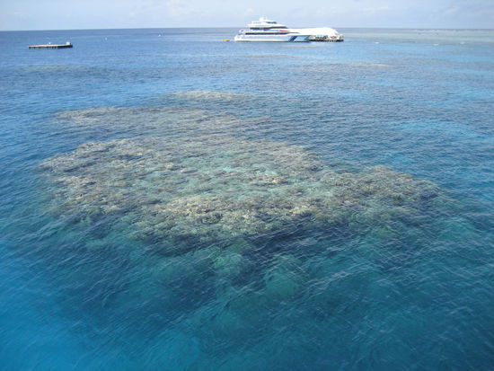 das riff von oben mit 30 meter sicht unter wasser