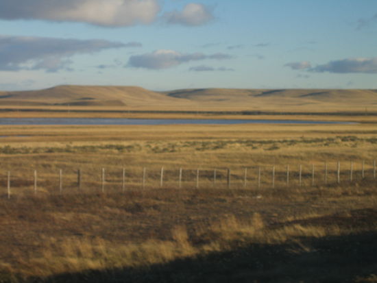die ersten kilometer auf feuerland sind endlose steppe und berge, die aussehen, als ob sie mit fell bewachsen waeren.