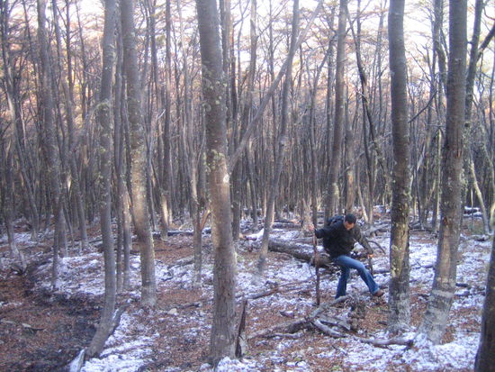 mein held sucht fuer mich nach einem wanderstock! 
wir sind 2,5 stunden ohne eine menschenseele zu treffen durch den wald gestiefelt.
und als wir beim abstieg alle moeglichen lieder gesungen haben (schmutzige stammtisch-lieder von chris und kinderlieder von mir) kamen uns doch promt die drei amerikaner aus dem bus entgegen, die wir von anfang an nicht leiden konnten. es ist unglaublich: da trifft man NIEMANDEN und dann die...! wir haetten sie am liebsten angelogen und gesagt in 5 minuten kommt der gipfel, aber man ist ja hoeflich... also haben wir wahrheitsgemaess berichtet dass es rutschig ist und ich auch ausgerutscht bin. war auch aufgrund meiner dreckigen hose und jacke nicht zu uebersehen...
naja, zugegeben, als es ne stunde spaeter zu regnen anfing als wir schon lang im cafe sassen, mussten wir schon bissl schadenfreudig sein...