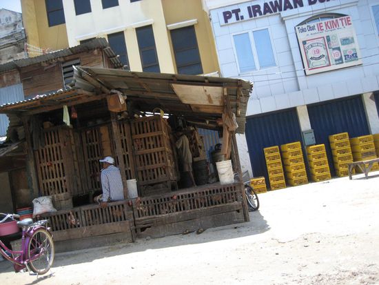 man kann es schlecht erkennen, doch in den kisten links sind eingepferchte huehner. klar, warum auch nicht ?!