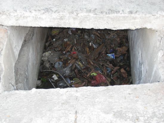 oben bordstein, unten muellsammlung, was bei 35 grad lecker riecht.