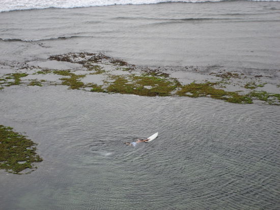 dieser surfer kaempfte sich bei ebbe 45 minuten lang zur welle raus, barfuss ueber messerscharfe korallen...