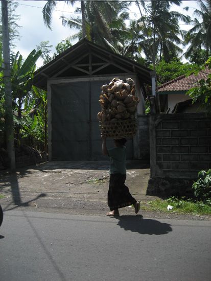 und wenn wir schon bei superlativen sind: was die frauen hier alles auf dem kopf tragen ist der wahnsinn. 
gestern haben wir hier auf gili zugeschaut, wie ca. 6 frauen im gaensemaersch ein komplettes boot entladen haben. geschatzte 38 kilo auf dem kopf mit 2 kartons wasserflaschen oder 2 kisten bier.