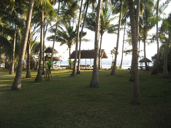 blick aus dem fenster