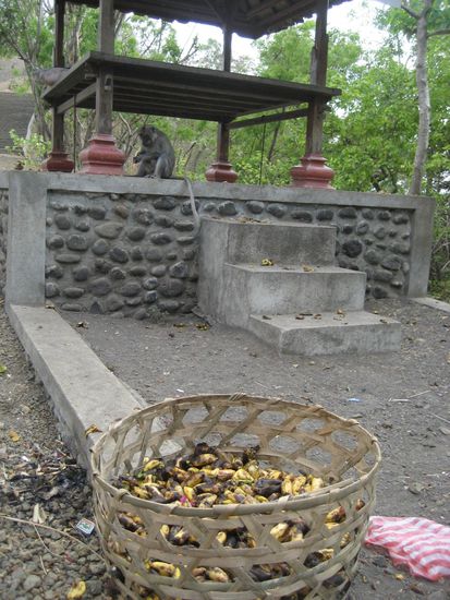 ueberall waren affen...