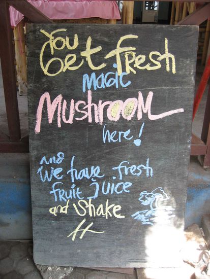 wir haben uns ueber die "magic mushrooms" aufklaeren lassen: pilze, die auf kuhmist wachsen und die ein "echt gutes gefuehl verleihen"...