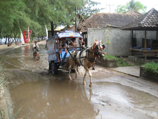 und so sah dann die "strasse" aus  die pferde-einspaenner sind uebrigens das einige "massentransportmittel".