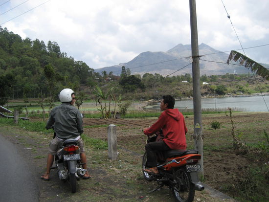 der kuenstler auf dem mofa, immer on the road