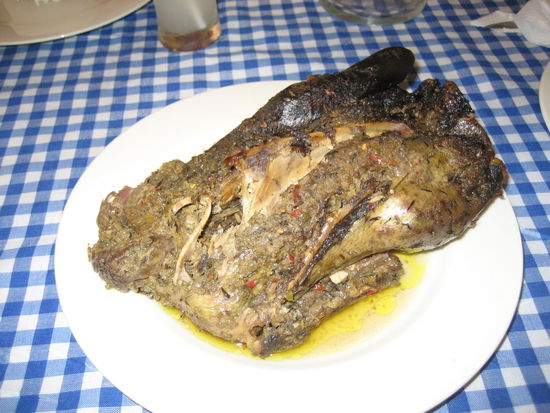 wir wollen euch die nahaufnahme nicht vorenthalten...