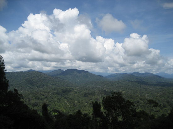 und das war dann ganz oben! wow!