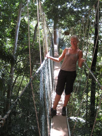 so ganz wohl ist mir noch nicht