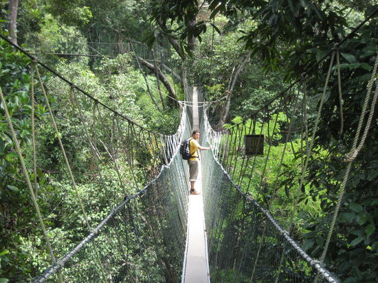 und chris auch nicht, auch wenn er den clown macht und alles zum schwanken bringt...