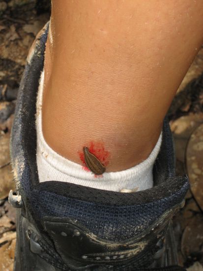 kurz durch den bach und schon hat einer angebissen, so schnell kann man gar nicht schauen