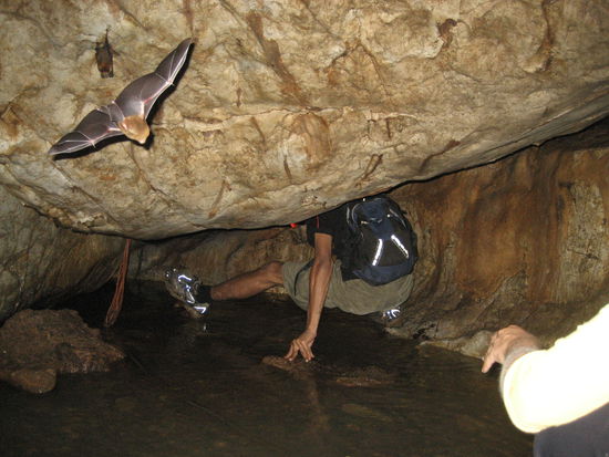 DAS ist der ausgang (im wasser sind blutegel)