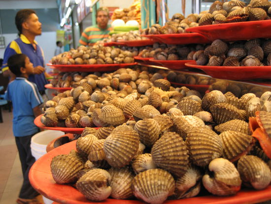 die muscheln sahen lecker aus, doch auch die thai tom yam suppe, in der ich mich baden koennte, war lecker.