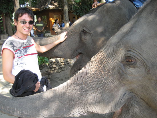 nach der show gab's zuckerrohr und wir vermuten, dass daher auch das syndrom des "kopfwackelns" von rechts nach links kommt, was tiere in gefangenschaft oft zeigen: rechts ein tourist mit zuckerrohr, links ein tourist mit zuckerrohr...