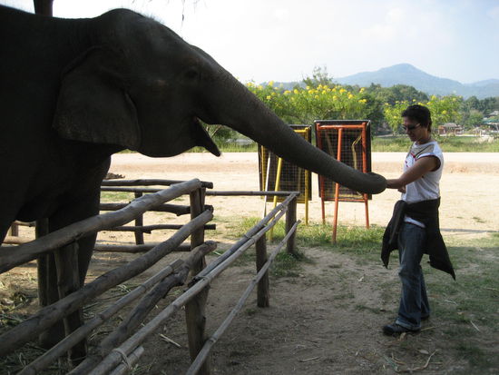 her mit dem mais und zwar dalli