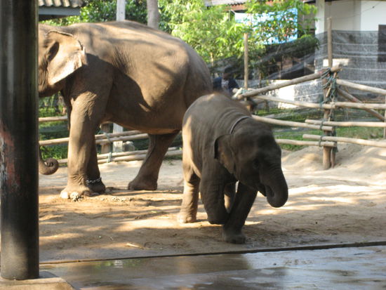 opfer einer landmine, weshlab bei diesem kleinen ein teil des fusses im krankenhaus amputiert wurde...