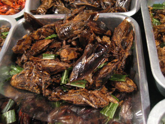 und falls es mit meinem essen nichts wird kann ich mir auf dem markt ein paar kandierte heuschrecken oder wasser-wanzen oder maden holen, die hier als fernseh-snack gegessen werden.