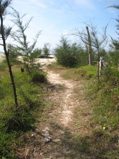 der weg zum traumstrand