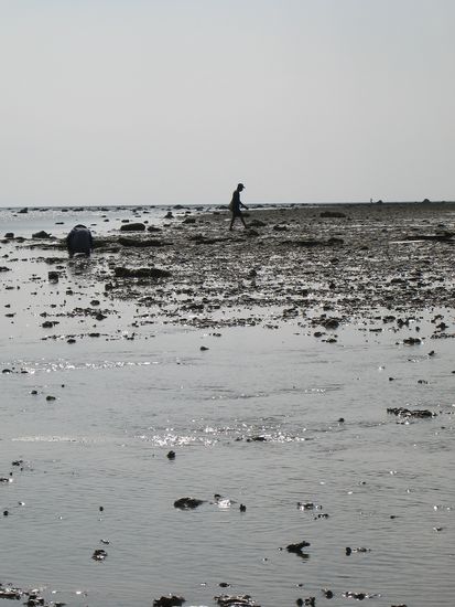 thais auf der suche nach krebsen im watt