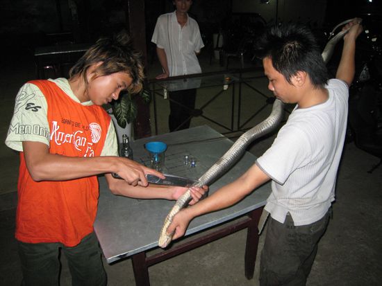 ein beherzter schnitt...