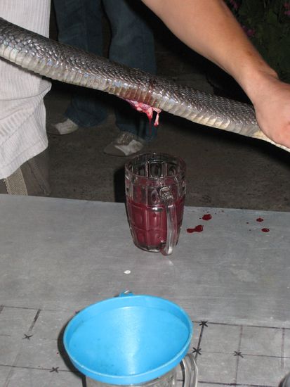 ich bin fest ueberzeugt, dass die schlange hiervon nichts mehr mitbekam...