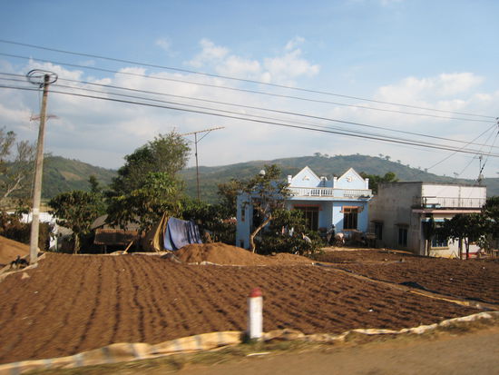 kaffe wohin das auge blickt