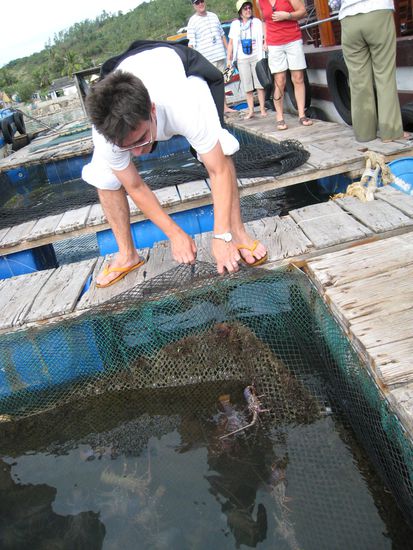 in diesem bottich sind frische hummer, die man dann bei bedarf einfach rausholt und an ort und stelle fast in den kochtopf wirft
